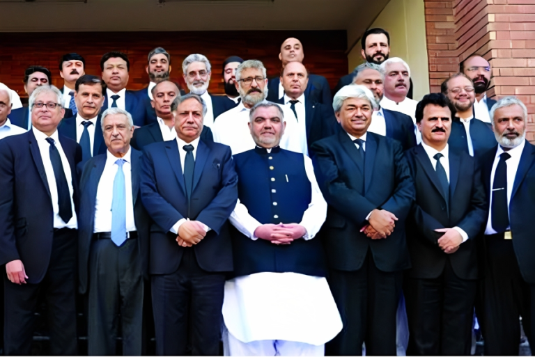 نگران وزیر اطلاعات کی جانب سے صوبائی اور وفاقی سطح پر وکلاء کے مسائل کے حل کی یقینی دہانی