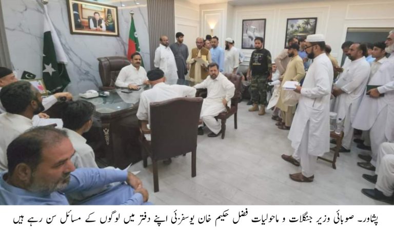 خیبرپختونخوا کے وزیر برائے جنگلات و ماحولیات فضل حکیم خان یوسفزئی نے کہا ہے کہ خیبرپختونخوا میں جنگلات کی کٹائی میں ملوث