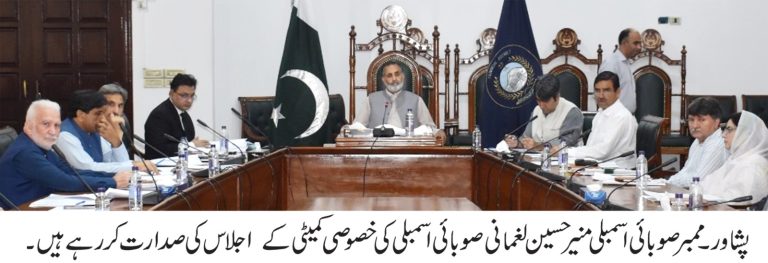 رکن صوبائی اسمبلی منیر حسین لغمانی کی سربراہی میں صوبائی اسمبلی کی سپیشل کمیٹی کا اجلاس