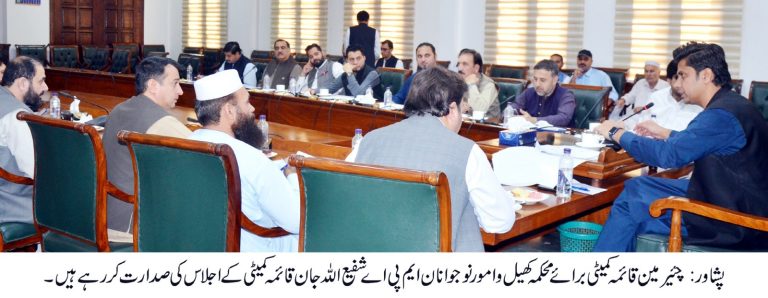 خیبر پختونخوا اسمبلی کی قائمہ کمیٹی برائے کھیل اور امور نوجوانان کا پہلا تعارفی اجلاس