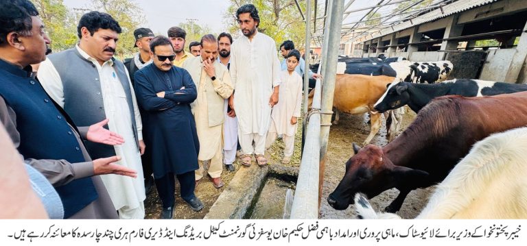 صوبائی وزیر لائیو سٹاک، فشریز و امداد باہمی فضل حکیم خان یوسفزئی کا گورنمنٹ کٹیل بریڈنگ اینڈ ڈیری فارم ہری چند ضلع چارسدہ کا تفصیلی دورہ