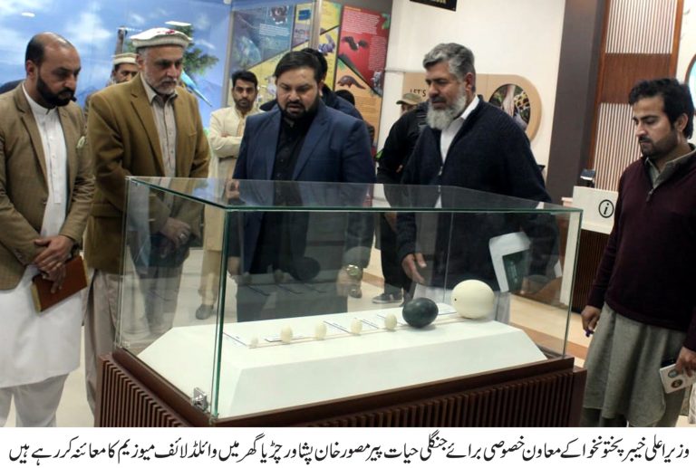 چڑیا گھر پشاور میں سہولیات میں اضافے کا تسلسل جاری،معاون خصوصی برائے جنگلی حیات پیر مصور خان نے وائلڈ لائف میوزیم اور ایڈمنسٹریشن بلاک کا افتتاح کردیا