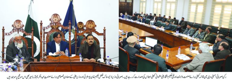 وزیر اعلی خیبر پختونخوا کے معاون خصوصی برائے صنعت عبدالکریم تورڈھیر نے کہا ہے کہ
