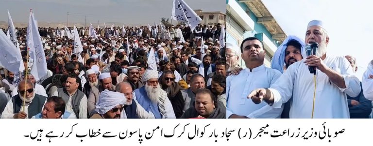 صوبائی وزیر زرزعت کاکرک کے امن کیلئے اپنی ذات ورپارٹی سیاست سے بالاتر ہوکر متحدرہنے کا عزم