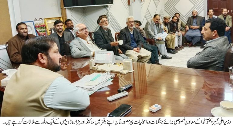 ٹمبر کاروبار سے وابستہ لوگوں کے مسائل میں کمی ا ور انکو ریلیف کی فراہمی کے لیے صوبائی حکومت عملی اقداما ت اٹھارہی ہے، معاون خصوصی برائے جنگلات پیر مصور خان