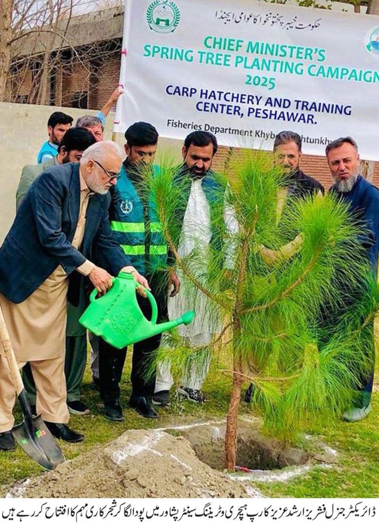 وزیر اعلیٰ خیبر پختونخوا کے احکامات پر سال 2025 کی شجرکاری مہم کا آغاز ہو گیا