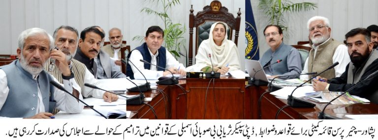 خیبر پختونخوا اسمبلی کے رولز آف بزنس میں ترامیم اور نئے مسودے کی تیاری ایک سنگ میل قدم ہے۔ڈپٹی سپیکر ثریا بی بی