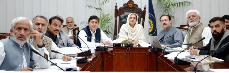 خیبر پختونخوا اسمبلی کے رولز آف بزنس میں ترامیم اور نئے مسودے کی تیاری ایک سنگ میل قدم ہے۔ڈپٹی سپیکر ثریا بی بی