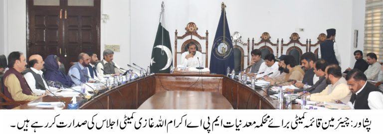 قائمہ کمیٹی برائے کان و معدنیات کا اجلاس، اہم سفارشات و ہدایات جاری