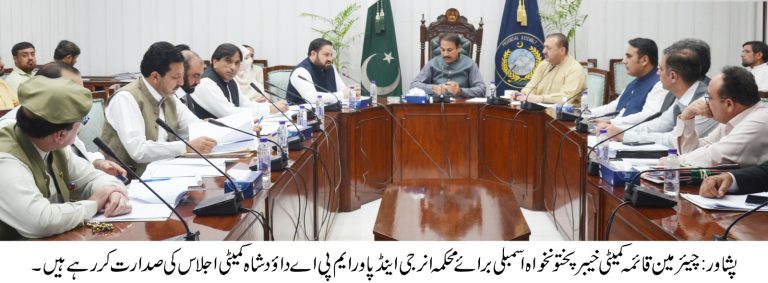 خیبر پختونخوا اسمبلی کی قائمہ کمیٹی برائے توانائی و برقیات کا اہم اجلاس چیئرپرسن اور رکن صوبائی اسمبلی