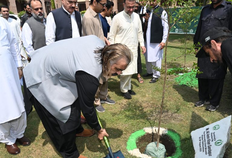 خیبرپختونخوا میں مون سون شجرکاری مہم 2025 کا آغاز، وزیراعلیٰ علی نے پودا لگا کر مہم کا افتتاح کیا۔