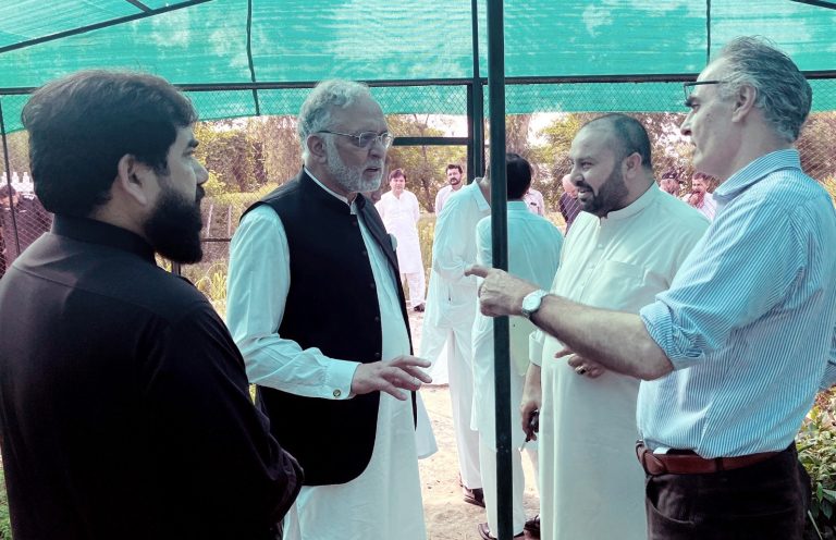نان ٹمبر فارسٹ پروڈکٹس کا فروغ حکومت کی ترجیح، جنگلات سے وابستہ مقامی معیشت کو مضبوط بنایا جائے گا