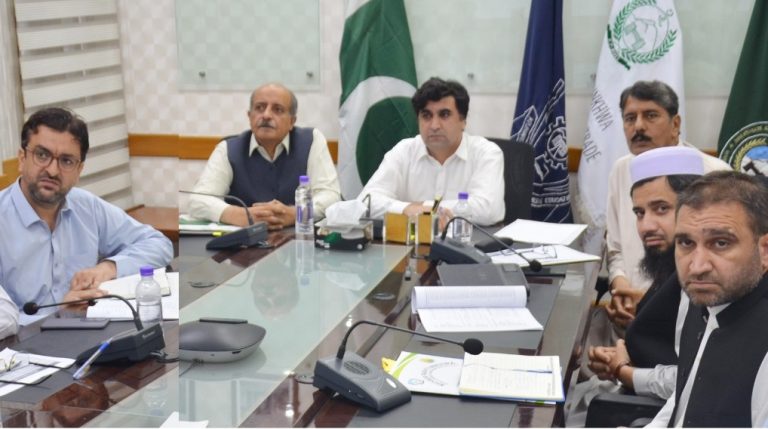 مارکیٹ بیسڈ مہارتوں سے نوجوانوں کو بااختیار بنا رہے ہیں، طفیل انجم کی زیر صدارت اجلاس
