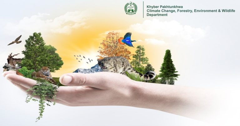 ٹرافی ہنٹنگ پروگرام کے ذریعے مارخور، آئی بیکس اور گرے گورل پرمٹس ریکارڈ 19,13,842 امریکی ڈالر (542.7 ملین روپے) میں نیلام