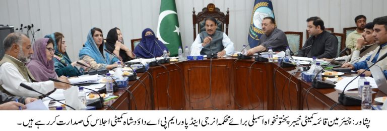 خیبرپختونخوا اسمبلی کی قائمہ کمیٹی برائے توانائی کا اجلاس