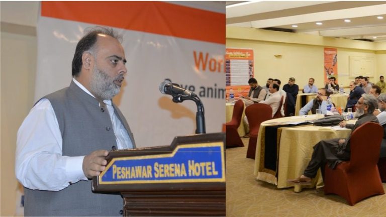 Effective Measures Underway for Livestock Development and Animal Welfare in Khyber Pakhtunkhwa: Syed Qasim Ali Shah