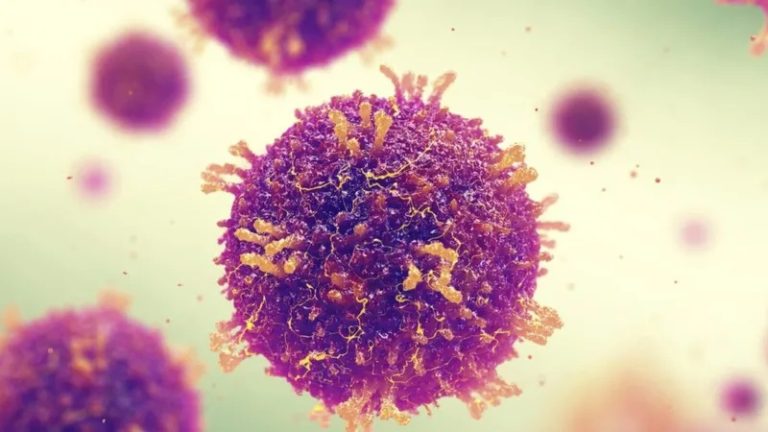 صوبائی وزیر صحت کی زیر صدارت مہم کو کامیاب بنانے سے متعلق جائزہ اجلاس کا انعقاد