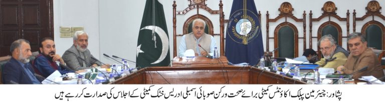 پبلک اکاؤنٹس کمیٹی برائے صحت کا اجلاس — مالی امور و آڈٹ رپورٹس کا تفصیلی جائزہ-