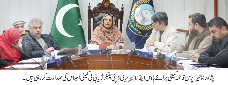 قواعدِ کار، مراعات اور حکومتی یقین دہانیوں سے متعلق قائمہ کمیٹی کا اجلاس