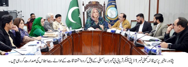 قواعدِ کار، مراعات, استحقاقات اور حکومتی یقین دہانیوں سے متعلق قائمہ کمیٹی کا اجلاس