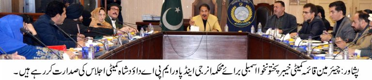 خیبر پختونخوا اسمبلی کی قائمہ کمیٹی برائے توانائی و برقیات کا اجلاس بدھ کے روز رکن صوبائی اسمبلی و چیئرمین قائمہ کمیٹی داؤد شاہ کی زیر صدارت