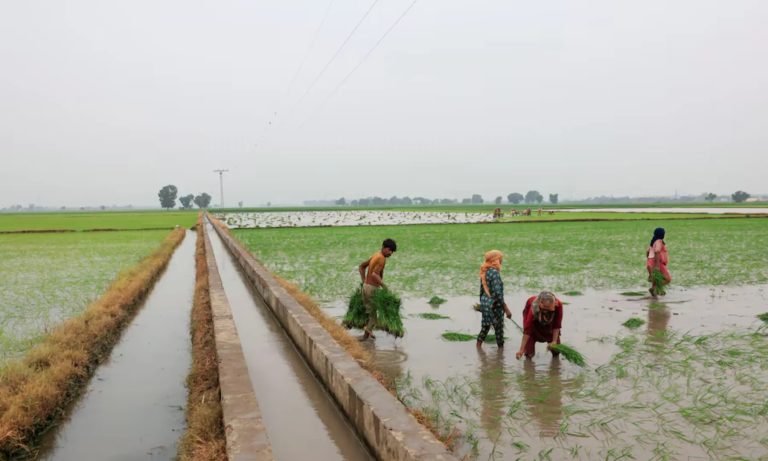 Kohat fast-tracks farm projects as water shortages bite.