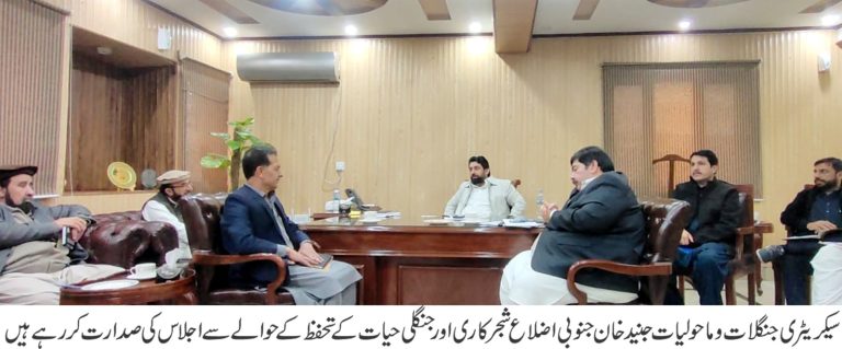 جنوبی اضلاع میں سرسبز انقلاب کی بنیاد، پائیدار شجرکاری اور جنگلی حیات کے تحفظ کے لیے جامع حکمتِ عملی پر غور