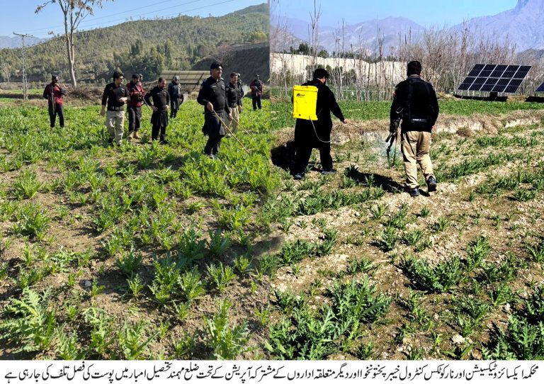 محکمہ ایکسائز و ٹیکسیشن اور نارکوٹکس کنٹرول کا انسداد منشیات کے حوالے سے ایک اور اہم قدم