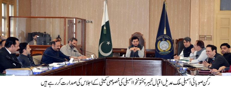 پختونخوا اسمبلی کی خصوصی کمیٹی برائے ریڈیو پاکستان پشاور کا دوسرا اجلاس پیر کے روز صوبائی اسمبلی سیکرٹریٹ میں منعقد ہوا