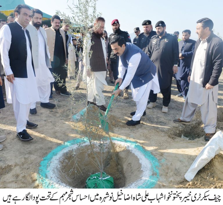 خیبرپختونخوا میں احساس شجرکاری مہم: یومِ پاکستان پر بڑے پیمانے پر شجرکاری