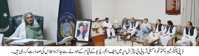 ڈپٹی سپیکر خیبر پختونخوا اسمبلی، ثریا بی بی نے جمعرات کے روز اپر چترال میں ایف ایم ریڈیو سٹیشن کے قیام سے متعلق پشاور میں ایک اہم اجلاس کی صدارت کی