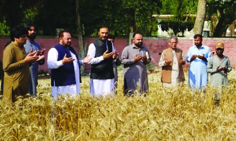 Secretary Agriculture Visits Various Agricultural Institutions, Inaugurates Research Activities and Wheat Harvest Campaign