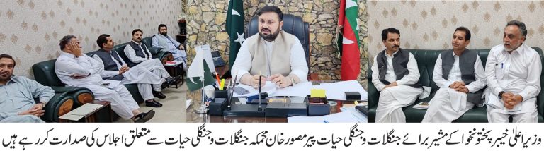 صوبے میں جنگلات کا فروغ اور جنگلی حیات کا تحفظ حکومت کی اولین ترجیح ہے، مشیر وزیراعلیٰ پیر مصور خان