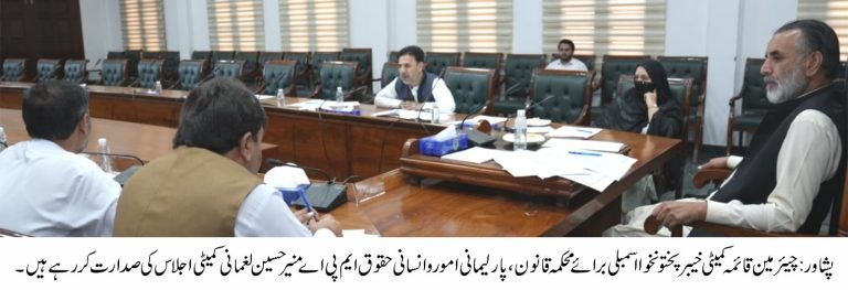 کام کی جگہ پر خواتین کو ہراساں کرنے کے خلاف ترمیمی بل 2026 پر خصوصی کمیٹی کا تفصیلی غور، خواتین کے تحفظ کے لیے مؤثر قانون سازی پر زور