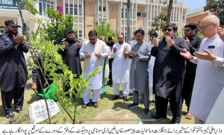 بانی چیئرمین تحریک انصاف عمران خان کے وژن کے مطابق جنگلات کے  تحفظ و فروغ  کو یقینی بنائیں گے، مشیر وزیر جنگلات و ماحولیات پیر مصور خان