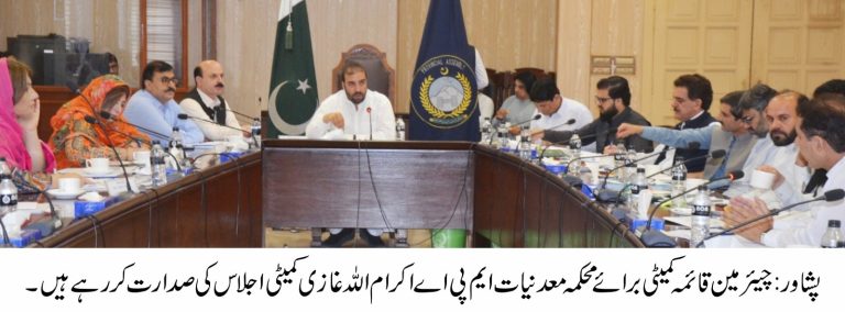 Standing Committee on Minerals of the Khyber Pakhtunkhwa Assembly was held on Wednesday at the Provincial Assembly Secretariat