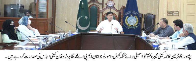 A meeting of the Standing Committee on Sports and Youth Affairs of the Khyber Pakhtunkhwa Assembly was held on Thursday at the Provincial Assembly Secretariat