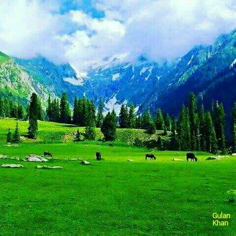 14 August 2026 – Green Khyber Pakhtunkhwa