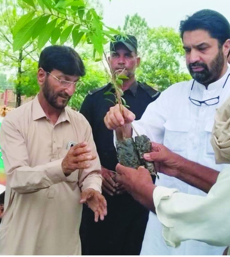 خیبر پختونخوا کے وزیر برائے پبلک ہیلتھ انجینئرنگ  فضل شکور خان نے ضلع چارسدہ میں مون سون شجرکاری مہم کا افتتاح کیا