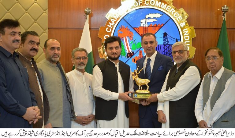 سیاحوں کو محفوظ اور معیاری سہولیات کی فراہمی کے لیے ٹورسٹ فیسلیٹیشن سنٹرز اور ٹورازم پولیس فعال ہیں، ملک عدیل اقبال