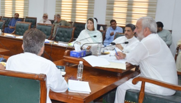 محکمہ ابتدائی و ثانوی تعلیم کے ملازمین کی ترقیوں میں مبینہ ناانصافیوں کا جائزہ، ذیلی کمیٹی نے ریکارڈ طلب کر لیا