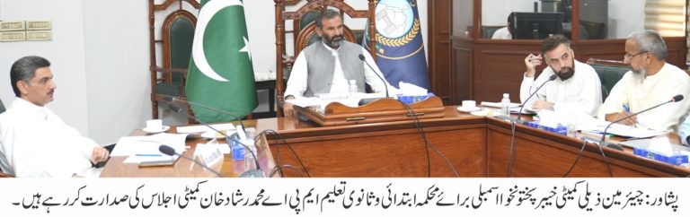 سکولوں کی اراضی پر قبضوں اور عارضی اساتذہ کی بھرتیوں کا معاملہ، اسمبلی کی ذیلی کمیٹی کا تفصیلی جائزہ