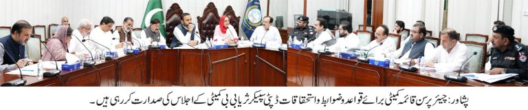 قائمہ کمیٹی برائے قواعد و ضوابط، کارِ استحقاقات اور حکومتی یقین دہانیوں کے نفاذ کا اجلاس