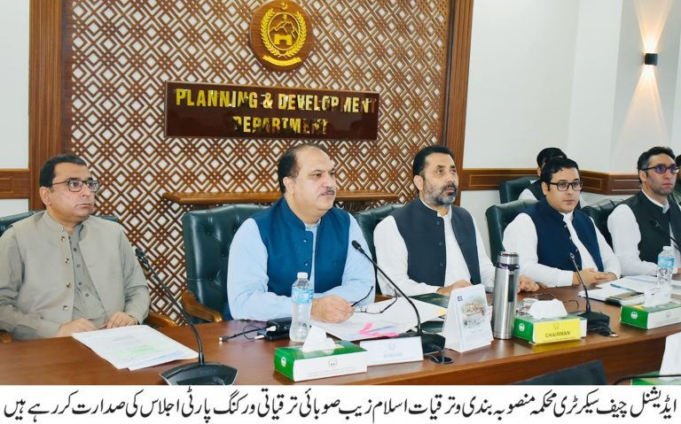 پی ڈی ڈبلیو پی کے ساتویں اجلاس میں خیبر پختونخوا کے لیے اربوں روپے مالیت کے ترقیاتی منصوبوں کی منظوری