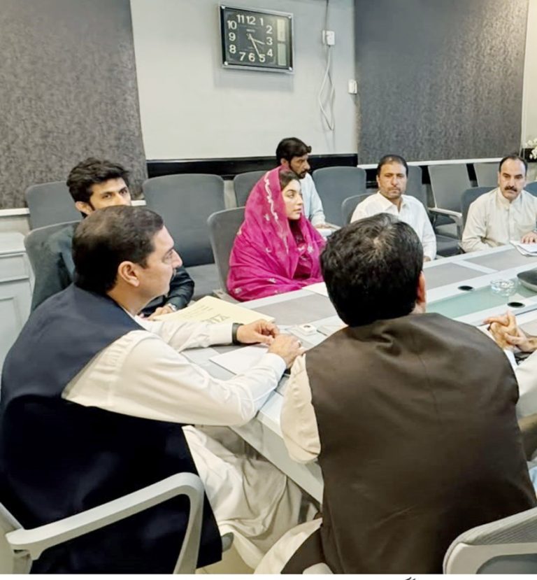 صوبائی وزیر ریاض خان کی زیر صدارت ضلع بونیر سیلاب متاثرین کے معاوضوں سے متعلق اہم اجلاس