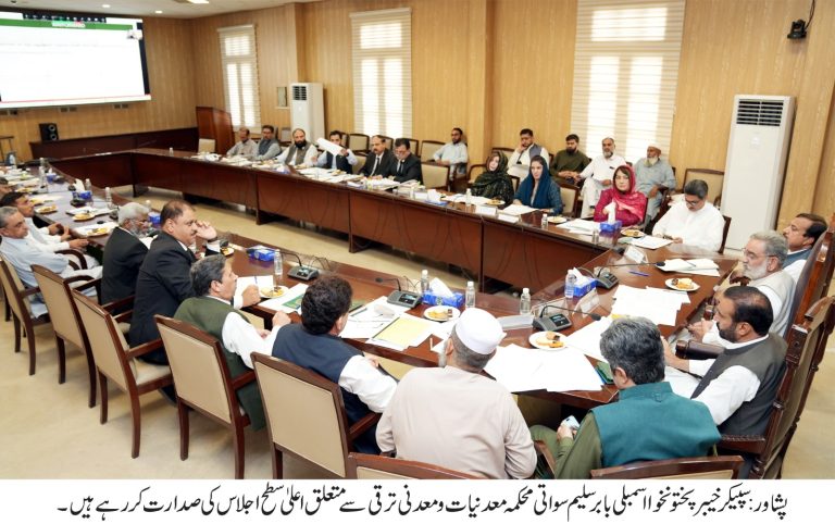 اسپیکر خیبر پختونخوا اسمبلی بابر سلیم سواتی کی زیرِ صدارت منرل ڈویلپمنٹ کمپنی کے قیام سے متعلق اہم اجلاس
