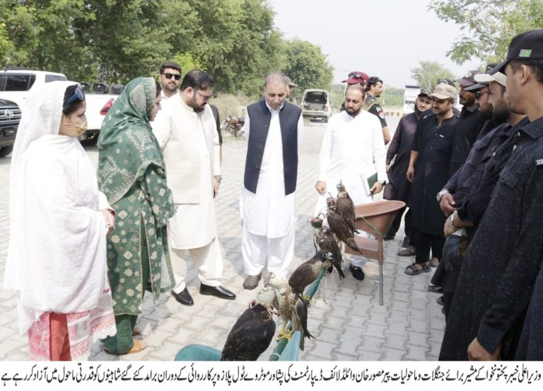 مشیر جنگلات پیر مصور خان کی ہدایات کی روشنی میں ڈی ایف او وائلڈ لائف پشاور کی پشاور موٹر وے ٹول پلازہ پر کارروائی