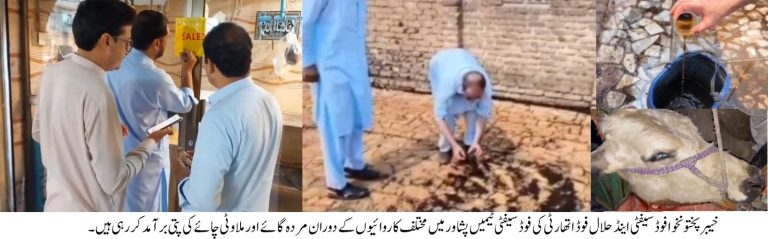 پشاور میں خیبرپختونخوا فوڈ اتھارٹی کی بڑی کارروائیاں، مردہ گائے کی سپلائی ناکام، ملاوٹی چائے تیار کرنے والا یونٹ پکڑا گیا
